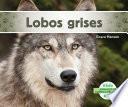 Lobos Grises (gray Wolves)