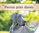 Perros Gran Danés (great Danes)
