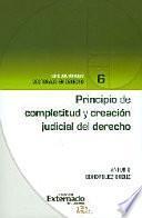 libro Principio De Completitud Y Creación Judicial Del Derecho