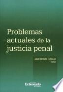 libro Problemas Actuales De La Justicia Penal