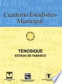 libro Tenosique Estado De Tabasco. Cuaderno Estadístico Municipal 1996