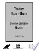libro Tepeapulco Estado De Hidalgo. Cuaderno Estadístico Municipal 1995