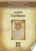 libro Apellido Gavilanes